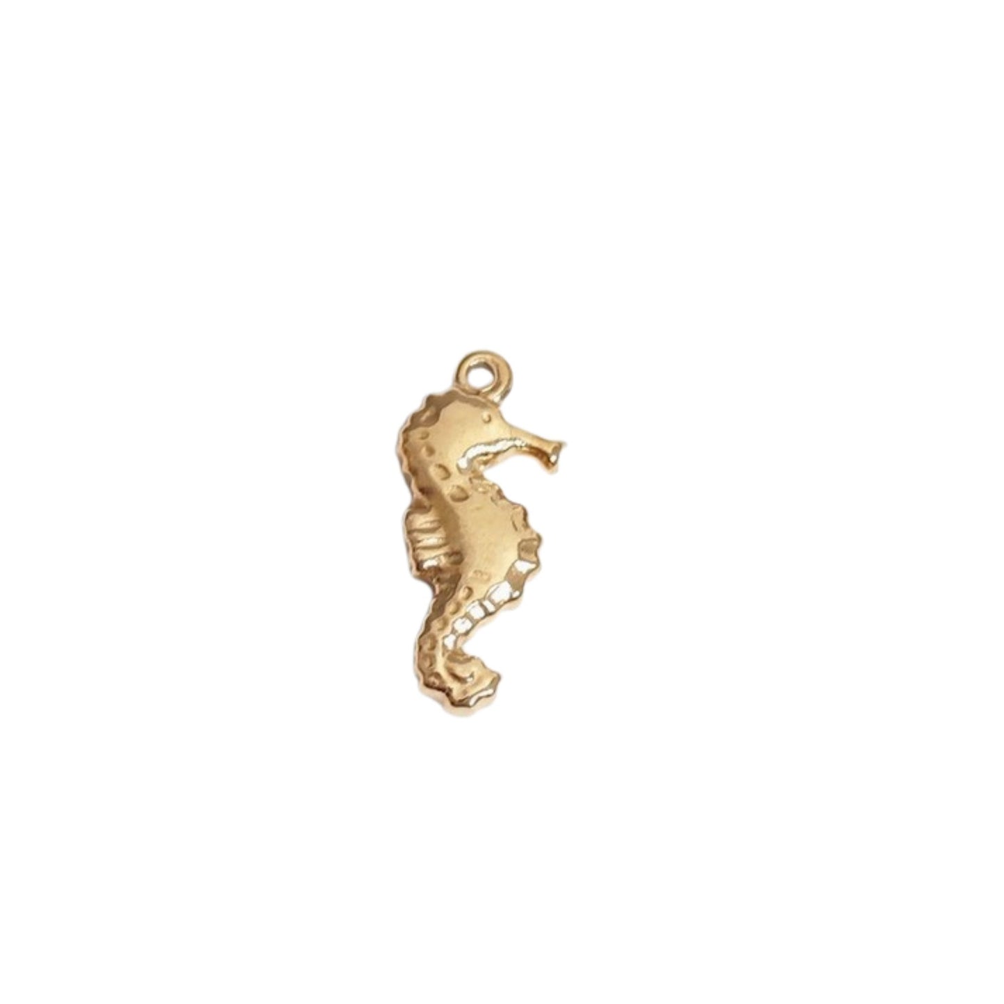 Seahorse Charm