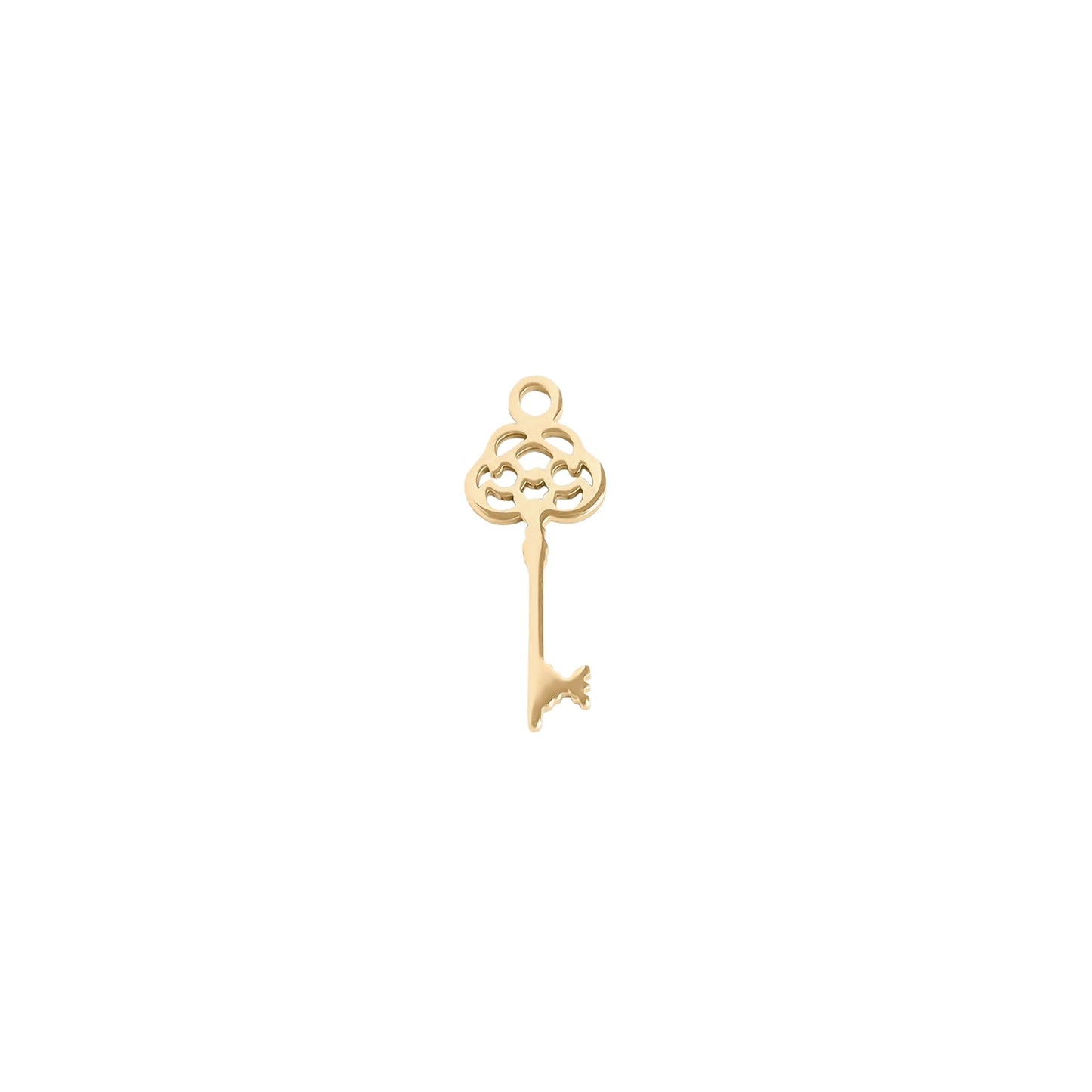 Dainty Key Charm