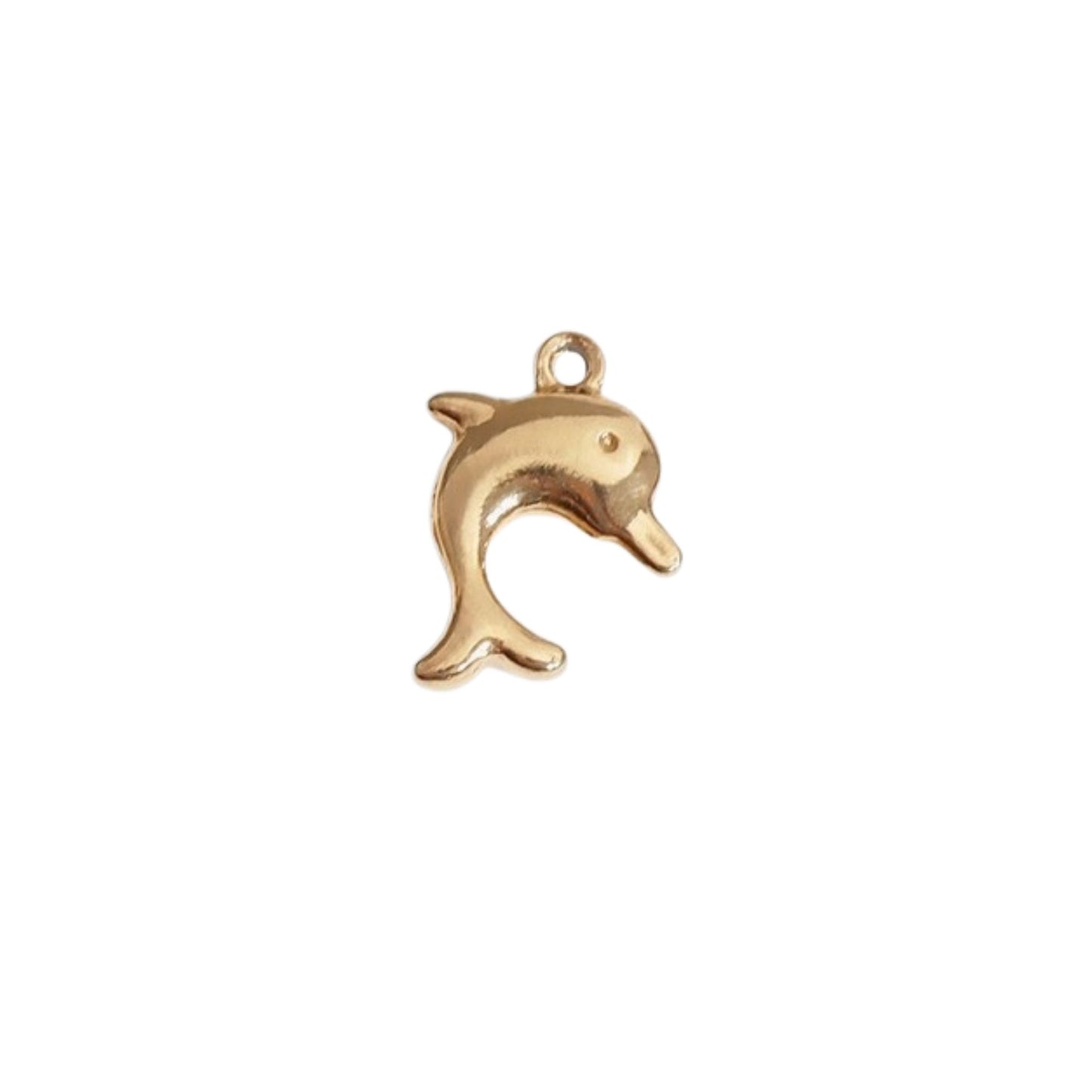 Dolphin Charm